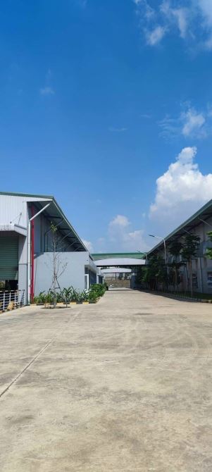 X085 nhà xưởng kết cấu kiên cố. Chuyển nhượng liền. Đang có dòng tiền ổn định – ảnh 3