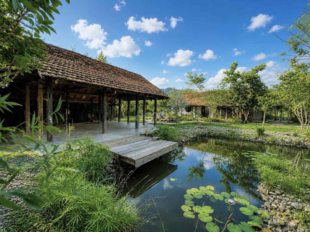 Sang nhượng homestay 6.800m² tại D’ran – 4 nhà gỗ, vào kinh doanh ngay – ảnh 2