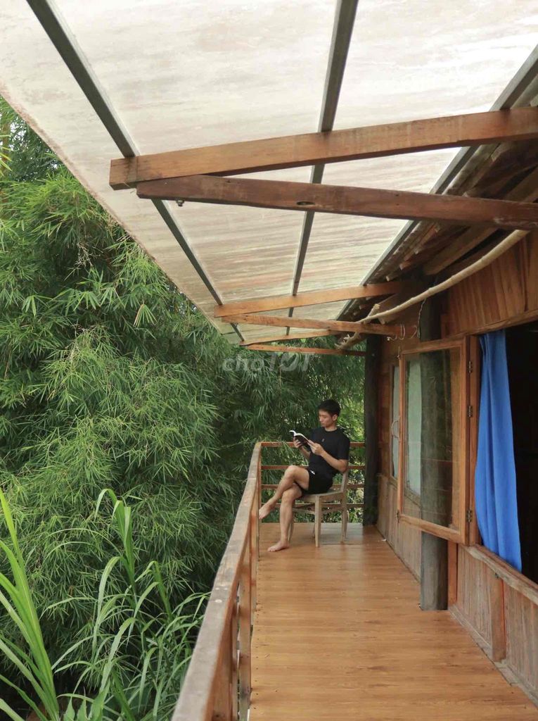 Sang nhượng homestay 6.800m² tại D’ran – 4 nhà gỗ, vào kinh doanh ngay – ảnh 3