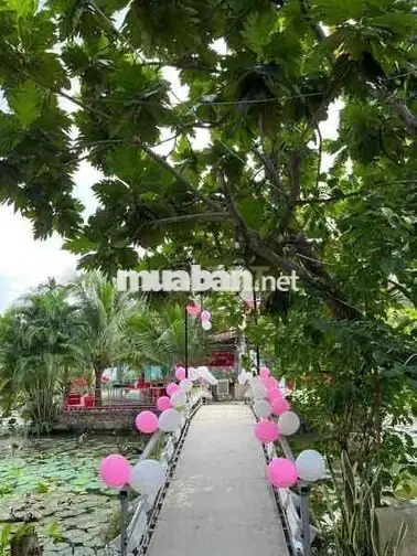 Cần sang lại quán ăn sân vườn , có phòng vip