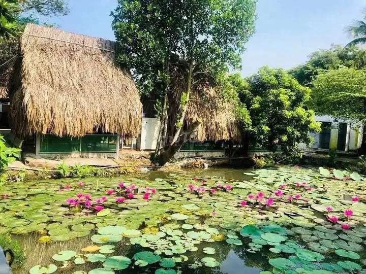 Sang nhượng nhà hàng sân vườn 4000m2 giá rẻ