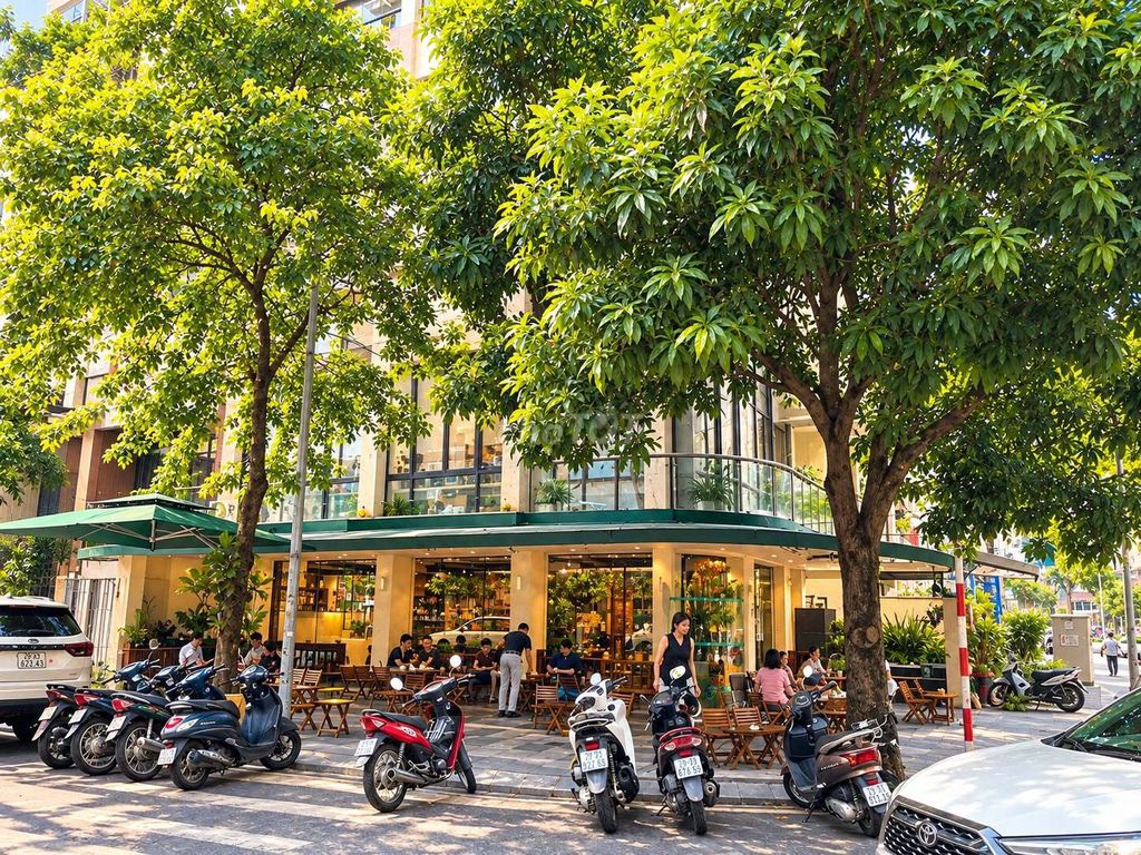 Nhượng quán Cafe phố Nguyễn Thị Định - Cầu Giấy căn góc 15m mặt tiền