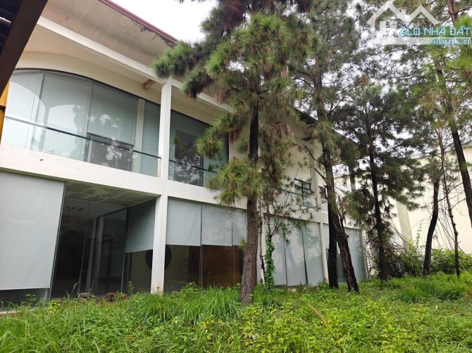 Chuyển nhượng nhà máy sản xuất 23.000m2 trong kcn Nhơn Trạch Đồng Nai – ảnh 3