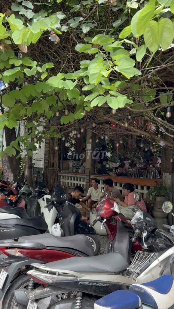 Sang quán cafe Nhà Mình khu k300 – ảnh 2