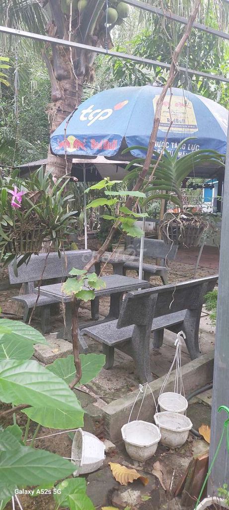 Sang quán cà phê sân vườn tại Bình Hưng, Bình Chánh – ảnh 2