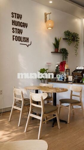 Sang nhanh Study Cafe - mb 6tr – ảnh 2