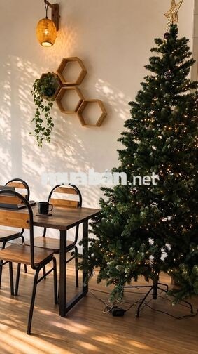 Sang nhanh Study Cafe - mb 6tr – ảnh 4