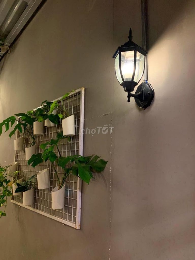 Cần sang quán cà phê kết hợp đồ ăn Hàn Quốc – ảnh 2