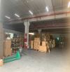 Chuyển nhượng kho xưởng tiêu chuẩn tại KCN thường tín – hà nội – ảnh 4