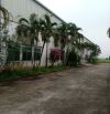 Chuyển nhượng nhà máy 40,000m2 ngay Văn Lâm, Hưng Yên . sổ đến 2056 – ảnh 2