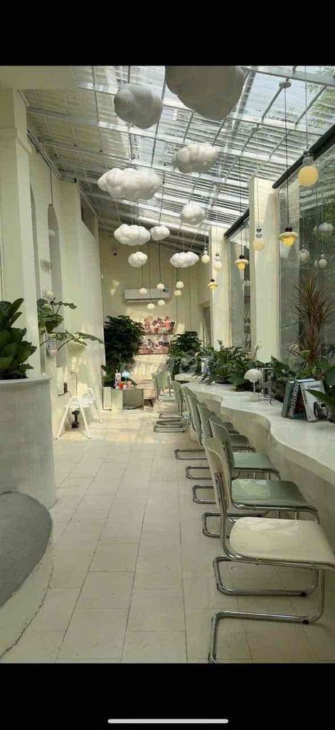 Mình chính chủ cần sang nhượng quán cà phê – ảnh 3