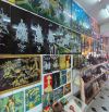 🎉 cần sang shop mỹ nghệ trưng nhị P1-100M²–GIÁ sang 470 triệu – thuê chỉ 13 triệu/tháng – ảnh 4