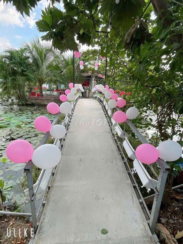 Sang quán ẩm thực Nhị Bình, Hốc Môn 4k m2 – ảnh 4