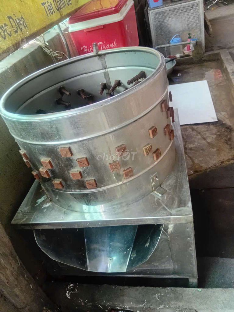 Cần sang quán bán gà thịt – ảnh 2